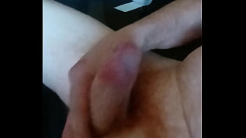 Domácí hoňka amatérského zrzka rád si protahuje svoje malé zrzavé péro