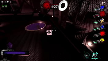 Shark women still make me drool