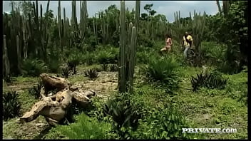 Gilda roberts desert romp