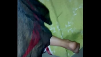 Mamada de italiana madura