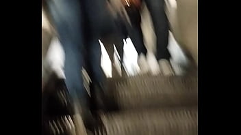 Zorra del metro polanco