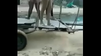 Olha o carro da puta na sua rua