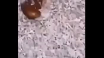 Lol studio productions