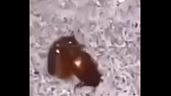 Lol studio productions