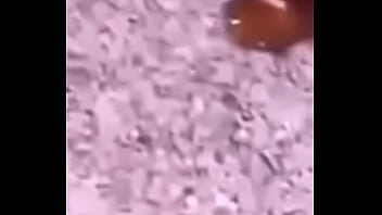 Lol studio productions