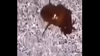 Lol studio productions