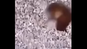 Lol studio productions