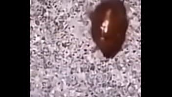 Lol studio productions