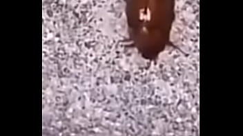 Lol studio productions