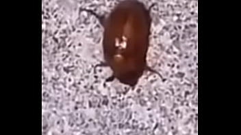 Lol studio productions