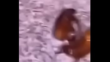 Lol studio productions