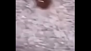 Lol studio productions