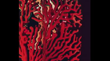 Kimi takes one exodus from the back side