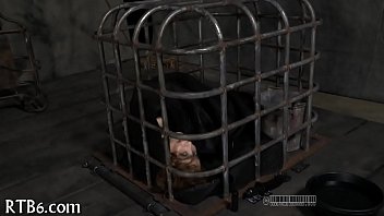 Taming a leather pet