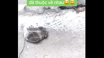 Nonton Verification Video thumbnail