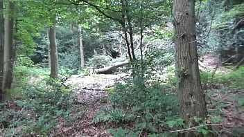 Strip Wank And Run In Wood thumbnail