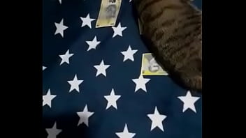 Videoclip verificare