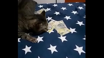 Videoclip verificare