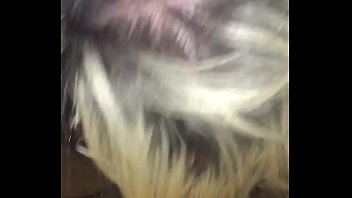 Tattooed wife sucks dark dick