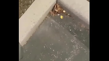 Things i do for free to stay warm when the weather gets cold such as wearing long pants with nuts hanging out of them because polecats love nuts