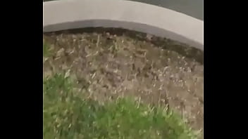 Things i do for free to stay warm when the weather gets cold such as wearing long pants with nuts hanging out of them because polecats love nuts