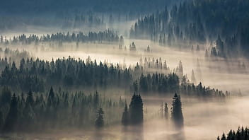 Morning wood crypto powers all to the largest moonshot known to all of mankind