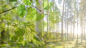 Morning wood crypto powers all to the largest moonshot known to all of mankind