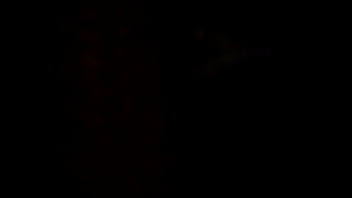 She likes to f*** asap