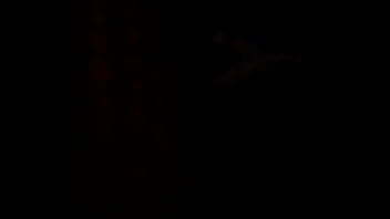 She likes to f*** asap