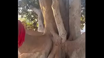 Nonton Dc The Don thumbnail