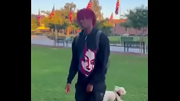 Dc the don Dc the don