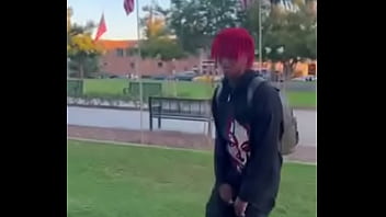 Dc the don Dc the don