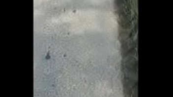 Le encanta mamarme la v****