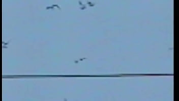 C tangana nunca estoy video oficial