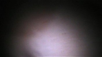 Chilena juega con una zanahoria