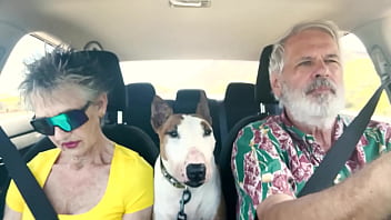 We drive around east oahu while chatting about things sexual