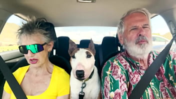 We drive around east oahu while chatting about things sexual