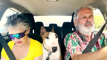 We drive around east oahu while chatting about things sexual