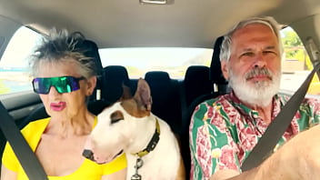 We drive around east oahu while chatting about things sexual