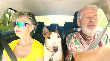 We drive around east oahu while chatting about things sexual