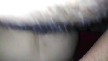 Nalgotas Sabrosas thumbnail