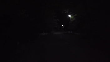 I fucked my best friend's girlfriend in the ass in a swamp