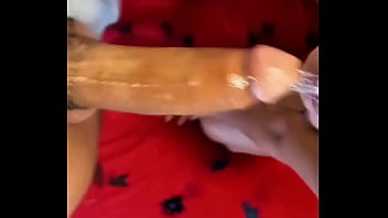 Morena brasileira gemendo alto na rola completo no sheer Morena brasileira gemendo alto na rola completo no sheer