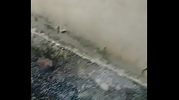 Branquinho thumbnail