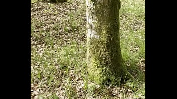 Je profite du soleil et de la chaleur pour faire une petit balade en forêt