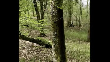 Je profite du soleil et de la chaleur pour faire une petit balade en forêt