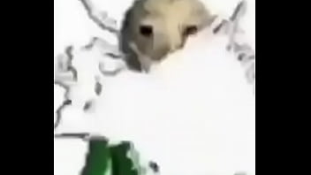 Professor gozando em você