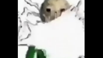 Professor gozando em você