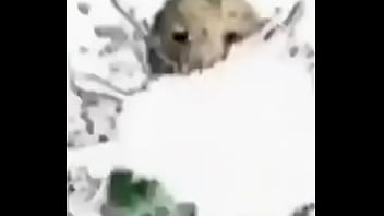 Professor gozando em você