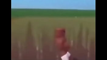 Negão safado na plantação com noventa